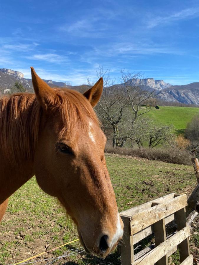 Le Perchoir Du Vercors - Panorama Sur Les Cimes Saint-Andre-en-Royans Luaran gambar